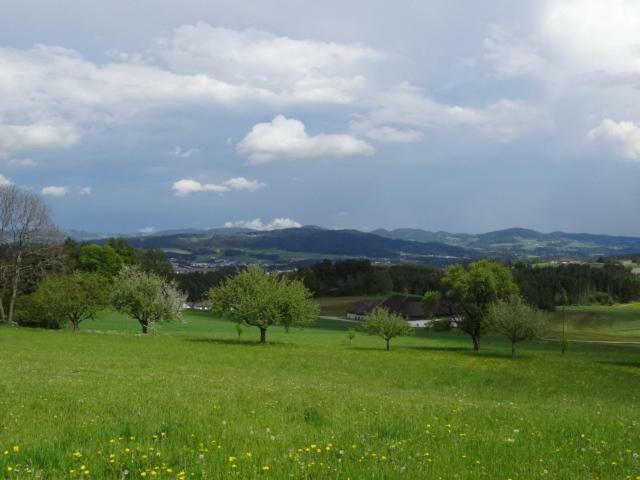 Desl'S Little Farm Apartamento Waldburg Exterior foto